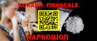 индика Ставрополь