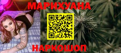 индика Ставрополь