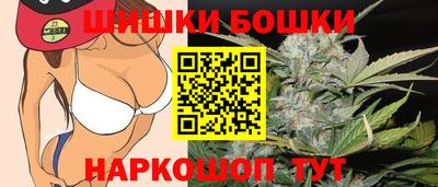 индика Ставрополь
