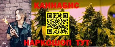 индика Ставрополь