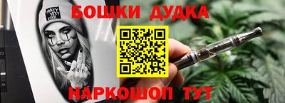 индика Ставрополь