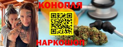 индика Ставрополь
