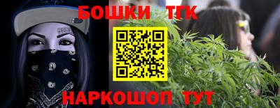 индика Ставрополь